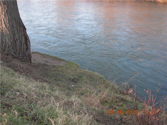 arčilend